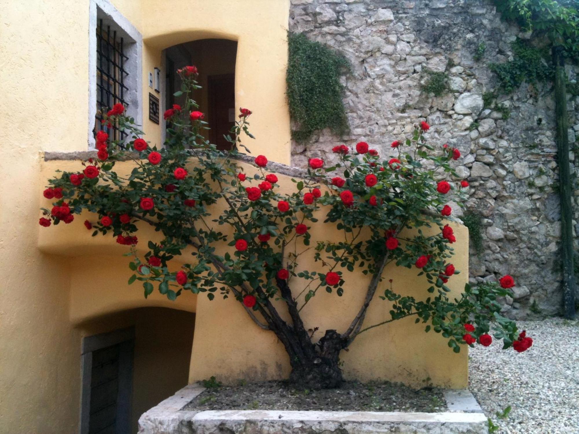Relais Palazzo Lodron Hotel Rovereto  Exterior photo